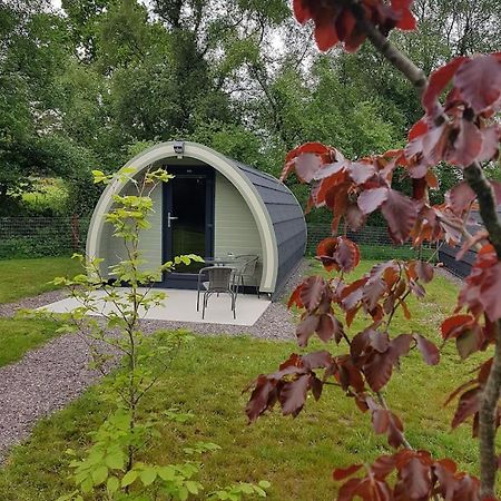 Mount Hillary Holiday Pods コーク エクステリア 写真